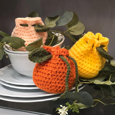 Fruit Pouches